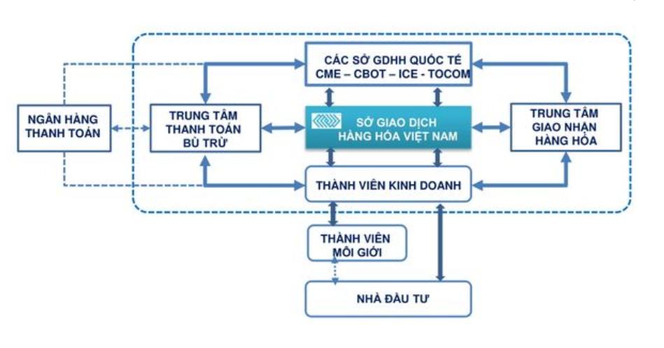 Cơ cấu tổ chức của Sở giao dịch hàng hóa Việt Nam