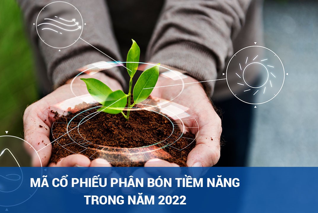 Thông tin chung về nhóm cổ phiếu phân bón