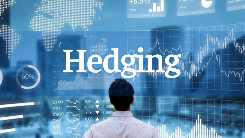 hedging-la-gi