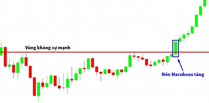 Hướng dẫn giao dịch hiệu quả với mô hình nến Marubozu