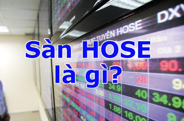 Sàn HOSE là gì?