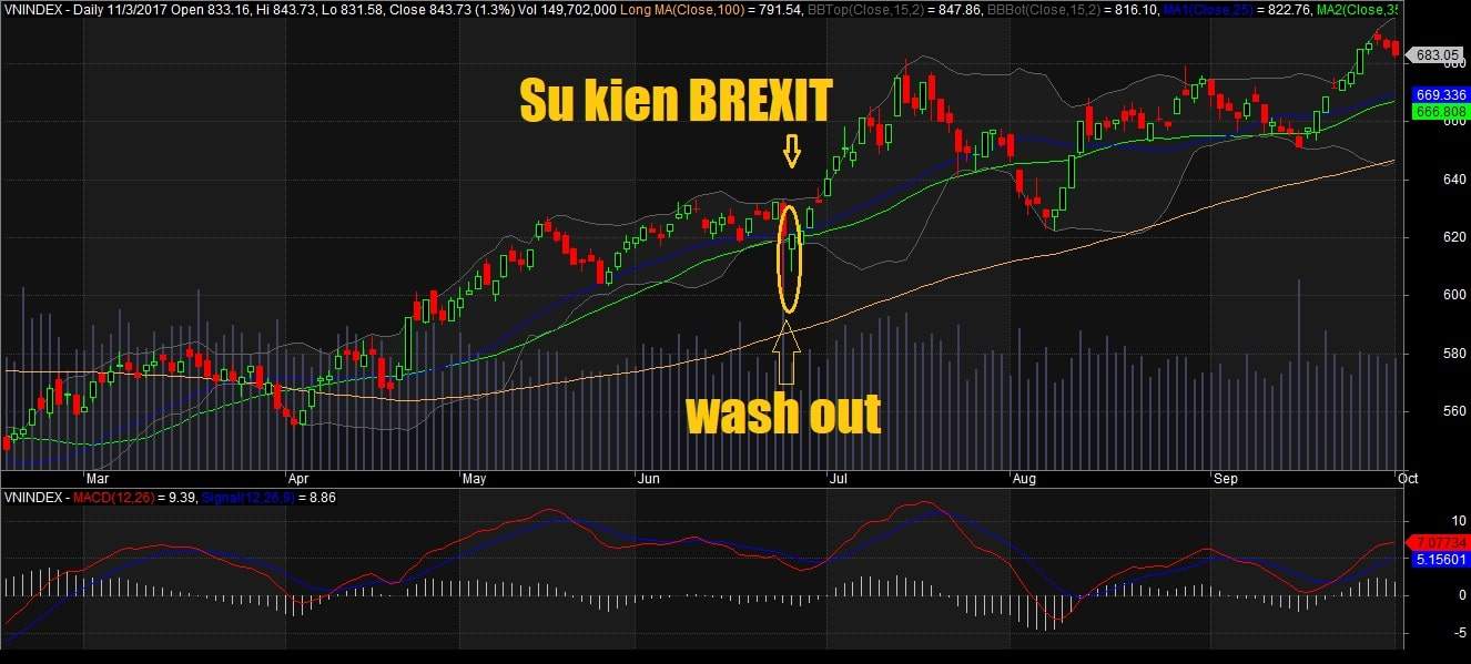Sự kiện Brexit với hiện tượng Wash out