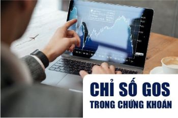 Chỉ số GOS trong chứng khoán là gì? Cách tính và Ý nghĩa